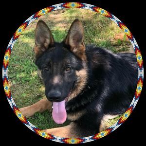 Meet your Posher, Leigh